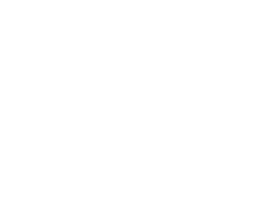 Unleashed Brands