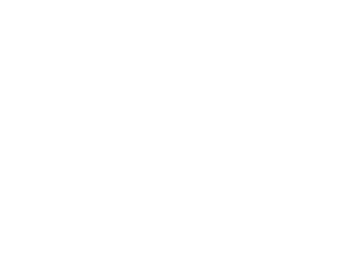 Unleashed Brands