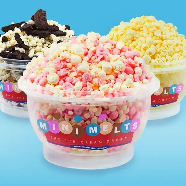 Mini Melts Ice Cream (2)