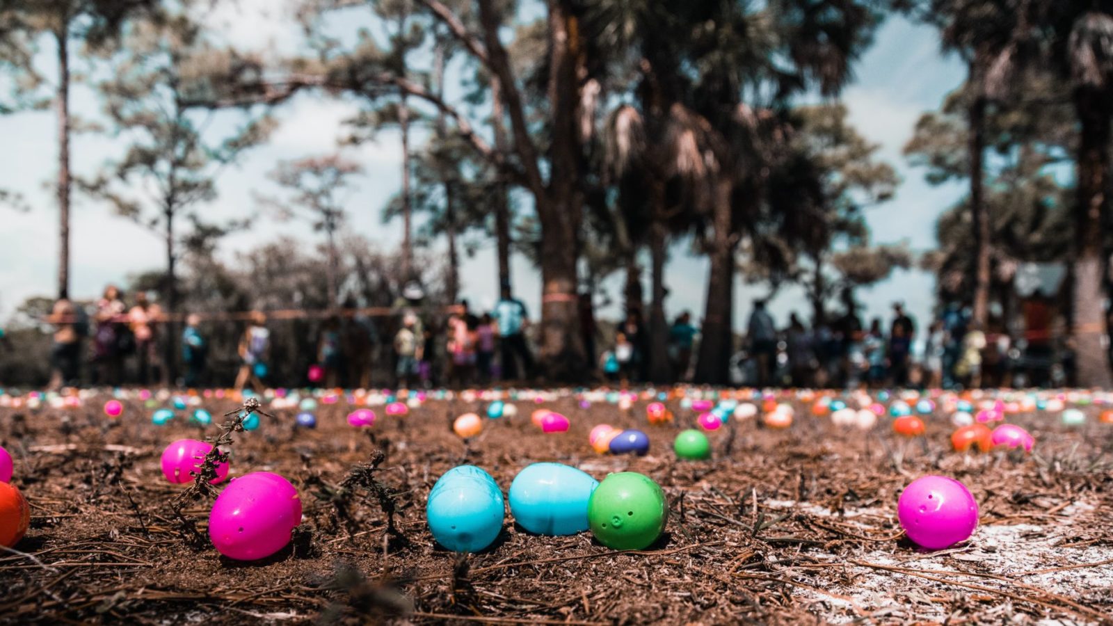 Easter Egg Hunt