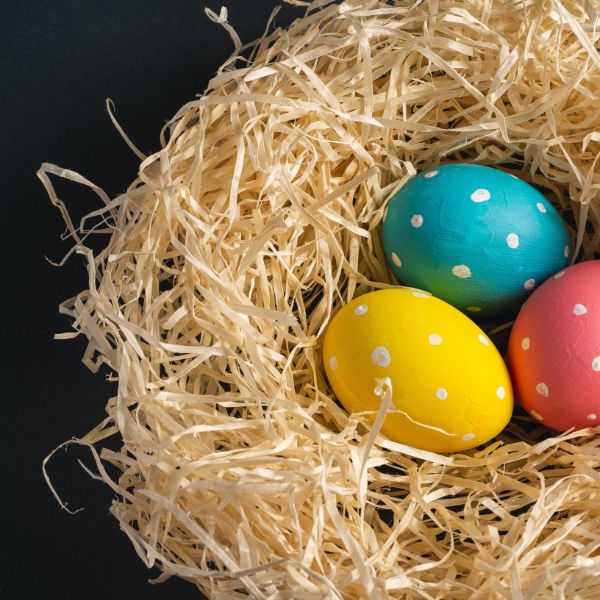 Easter Egg Hunt